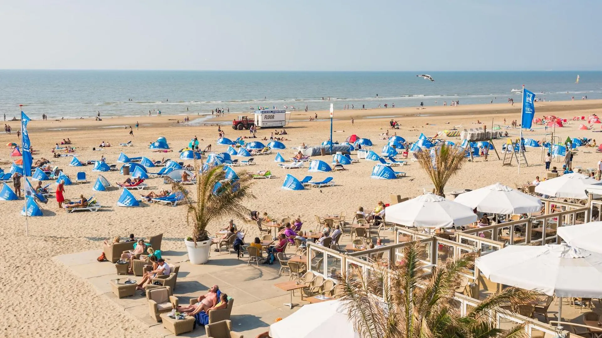 Marley'S Beachhouse - Luxury Guest Room With Balcony Zandvoort Netherlands